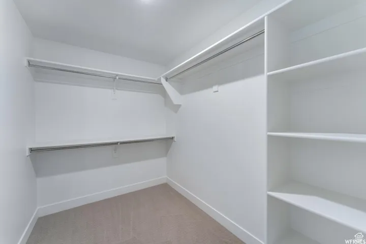 Built-in shelving, hanging rods, and carpeting