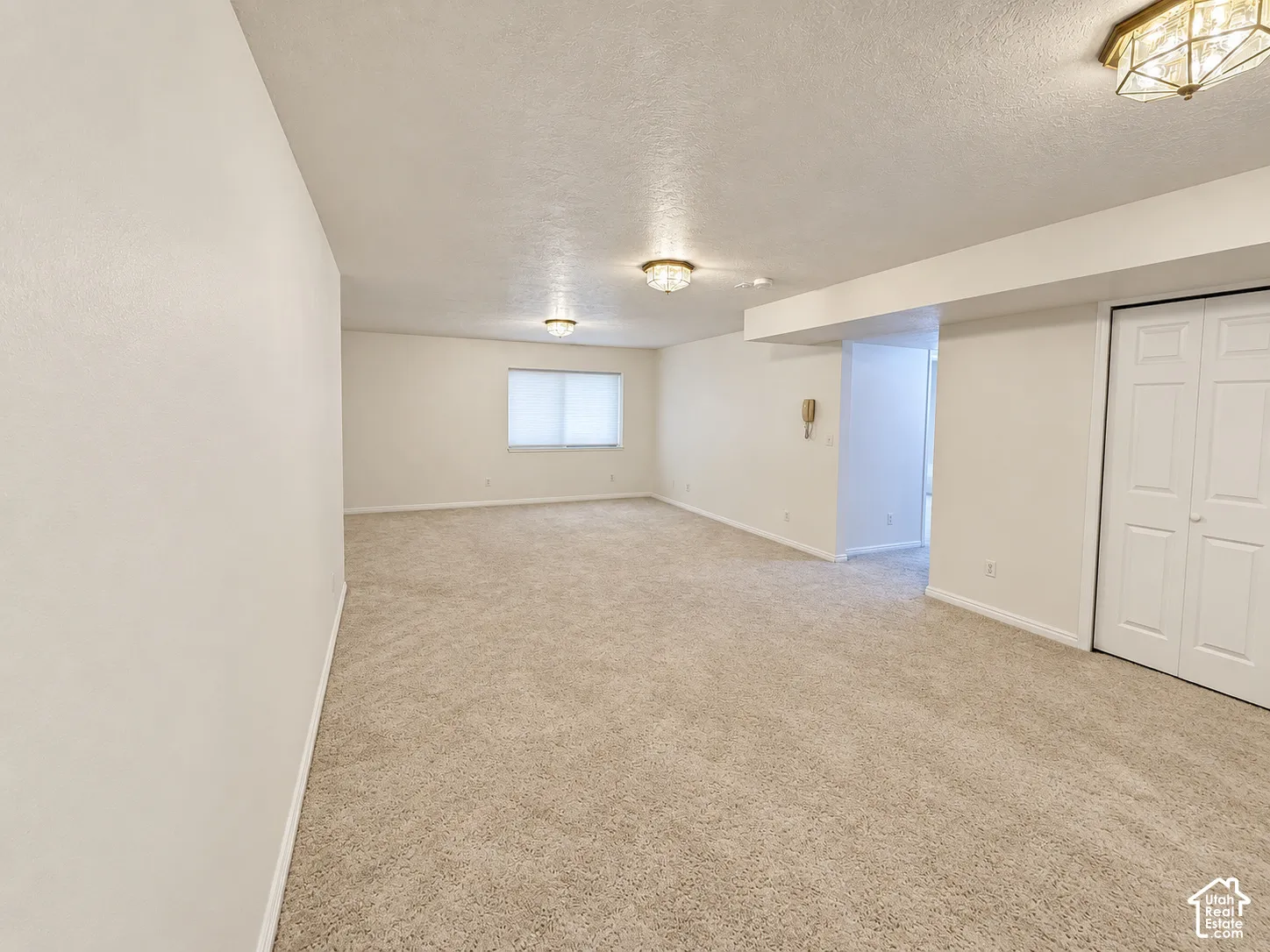 Basement Living Room
