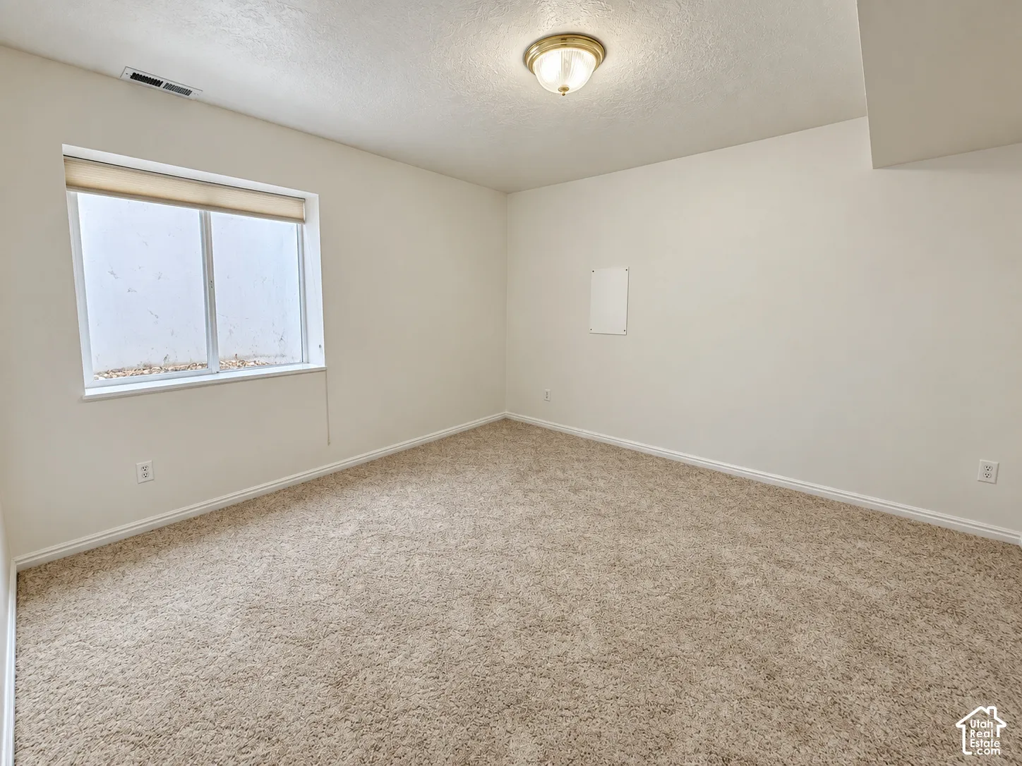 Basement Bedroom