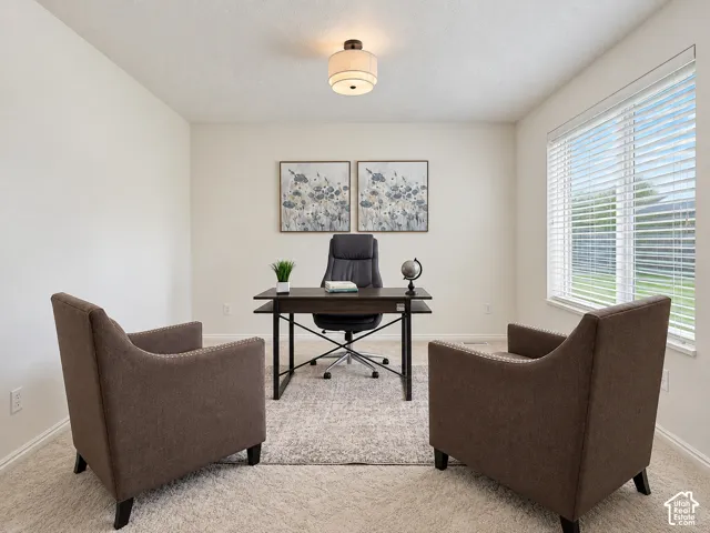 Recessed lighting, large window with blinds, light wall color, ceiling-mounted light fixture, carpeted flooring