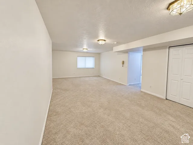 Basement Living Room