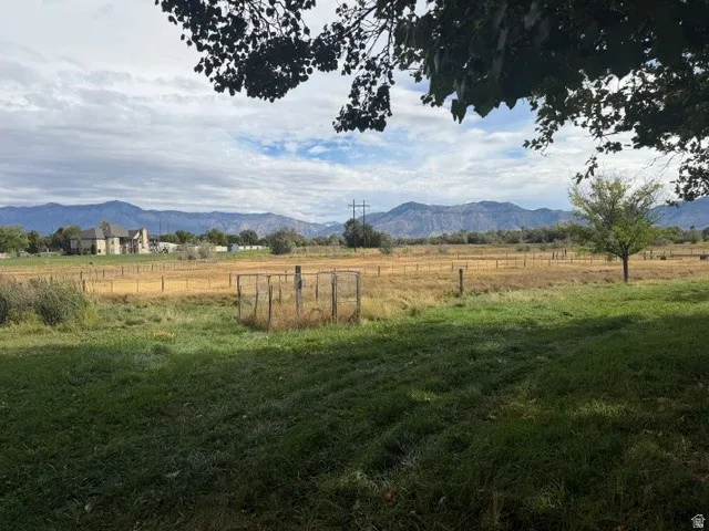 Expansive open field with scattered trees and a distant mountain range backdrop