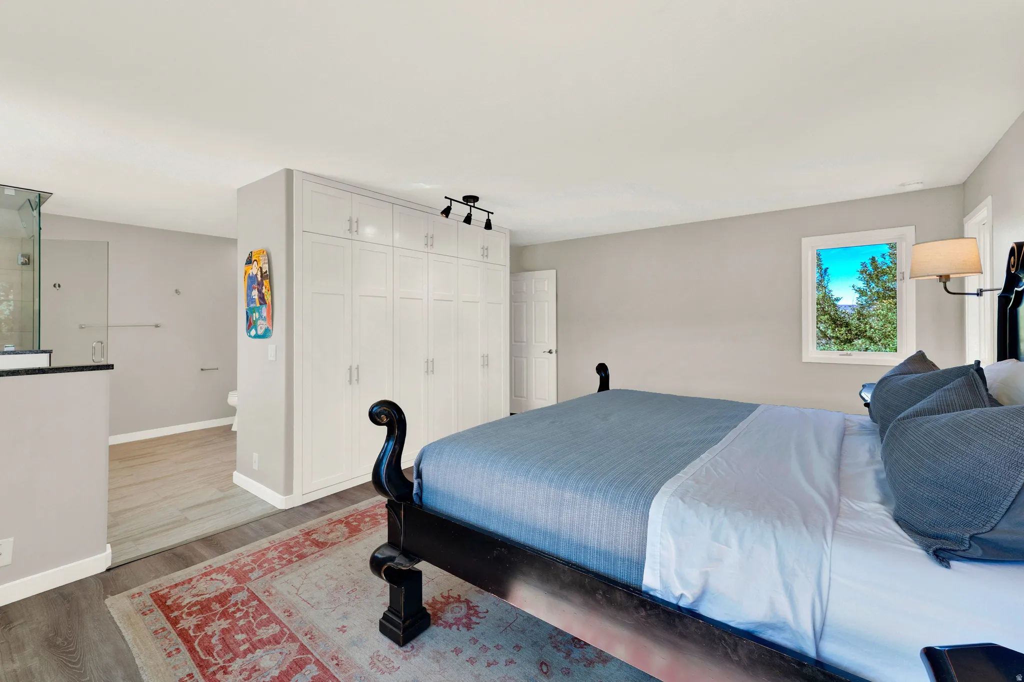 Built-in cabinetry with track lighting, wood-finish flooring, and a glass-enclosed shower
