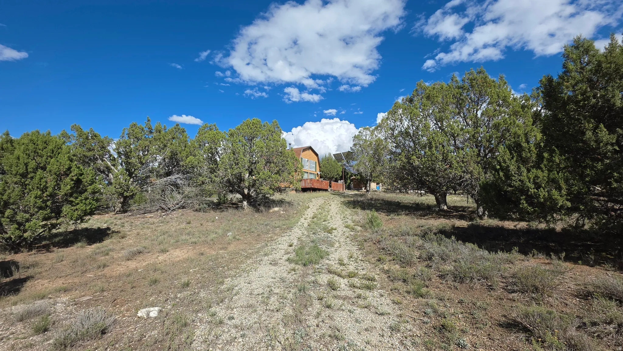 Hillside property with a natural landscape, mature trees, and a gravel pathway