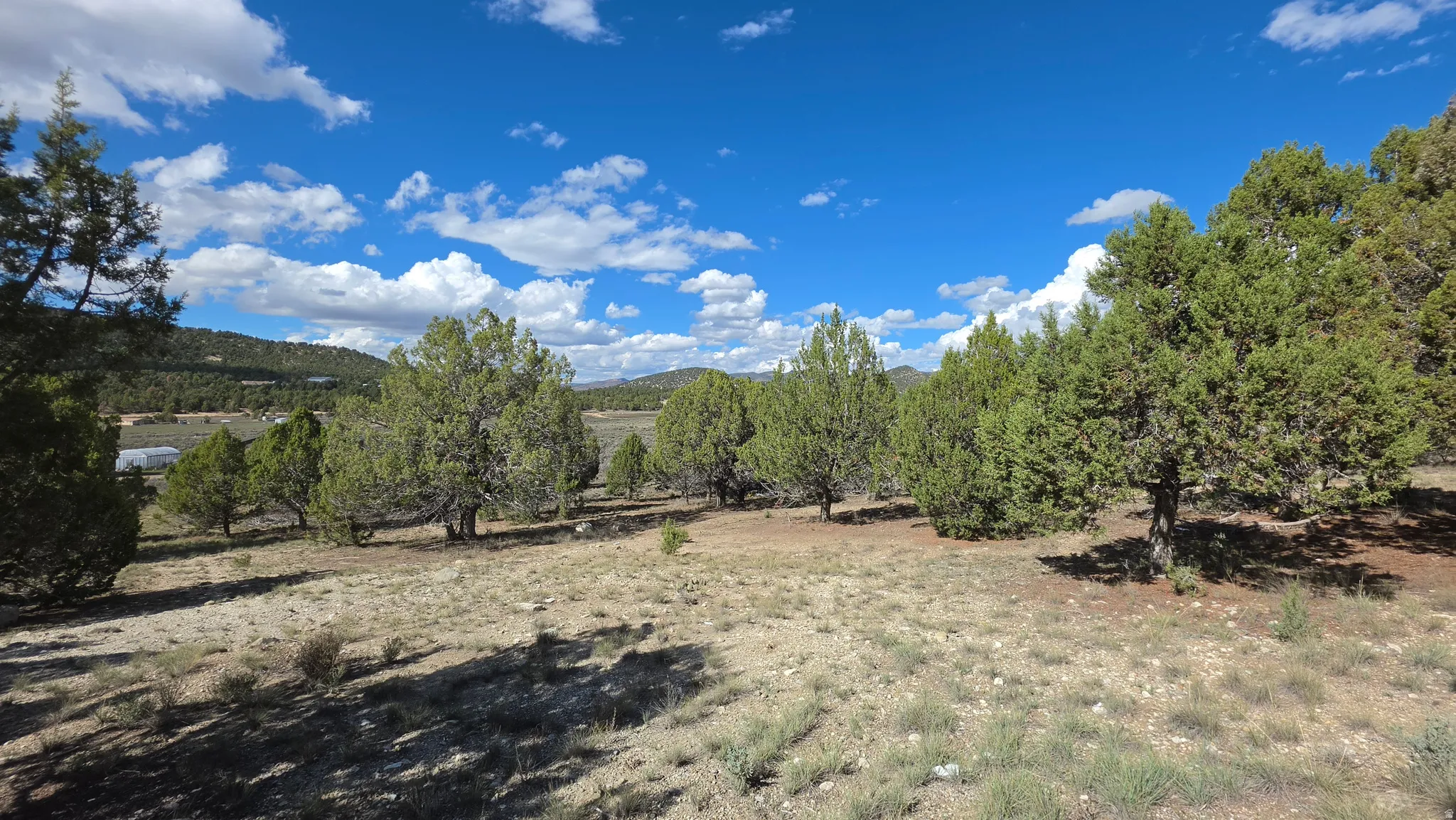 Expansive natural landscape with varied terrain and established trees