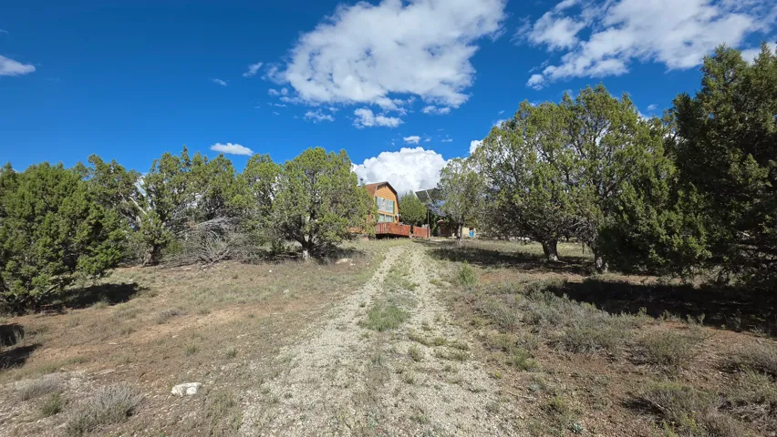 Hillside property with a natural landscape, mature trees, and a gravel pathway