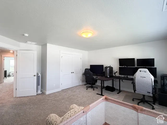 Neutral wall color, wall-to-wall carpeting, overhead flush mount light, white interior doors, and white trim