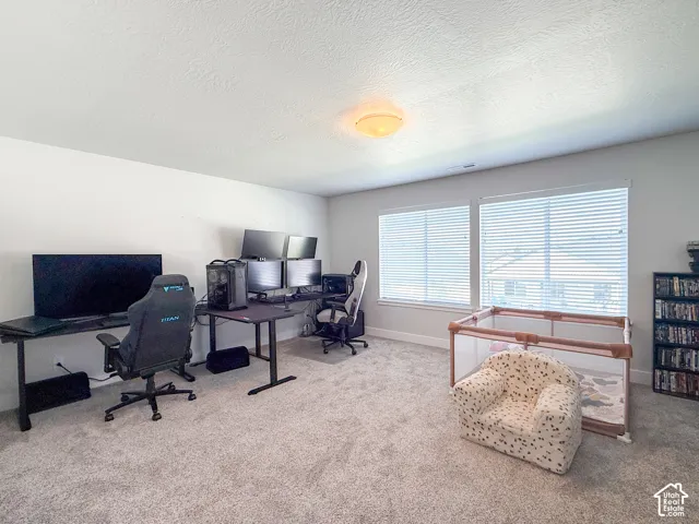 Light-colored carpeting, multiple windows with blinds, and recessed lighting fixtures