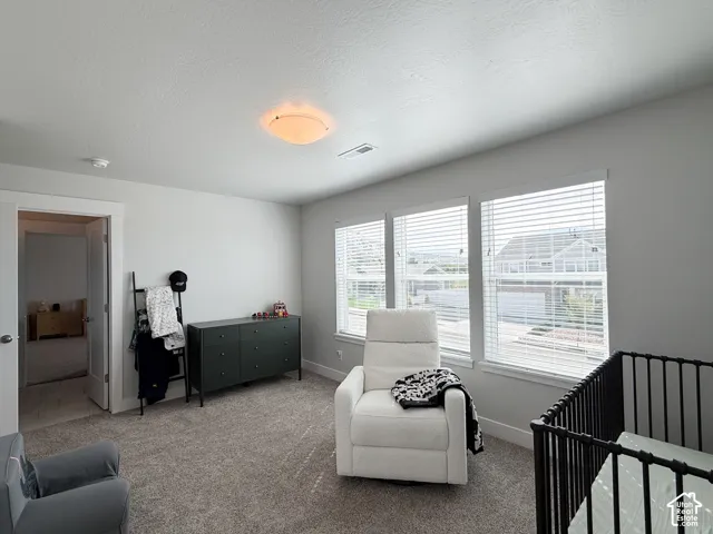 Neutral-toned walls with textured carpeting, a flush-mount ceiling light, and three windows featuring horizontal blinds