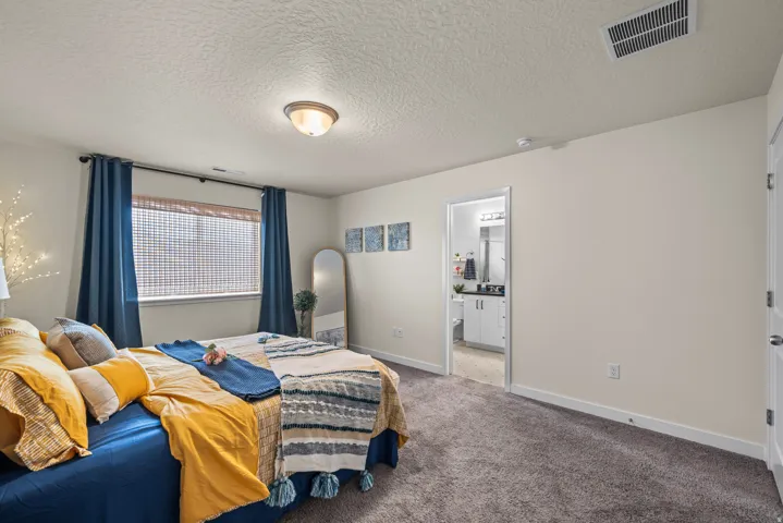 Plush gray carpeting, a window with horizontal blinds, and a permanent ceiling light fixture