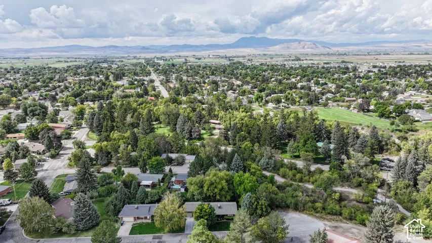 Expansive residential area with abundant mature trees and distant mountain ranges