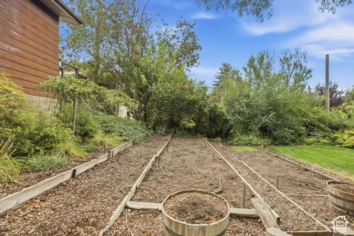 Expansive garden area featuring raised beds, wood chip pathways, and mature perimeter landscaping