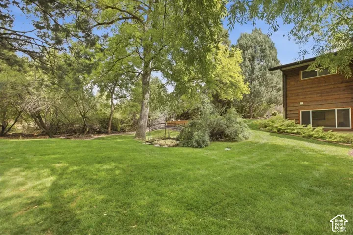 Expansive lawn with mature trees and dense natural foliage