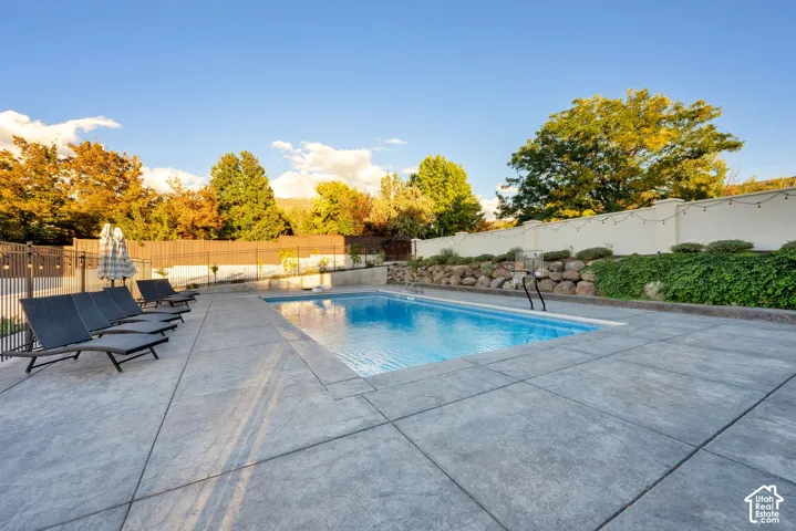 Swimming pool with concrete decking, surrounded by a low retaining wall with integrated landscaping, and a privacy fence