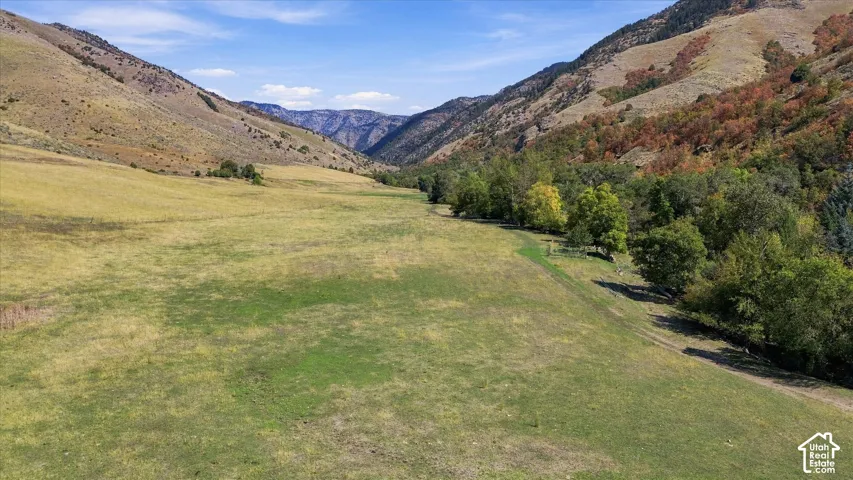 Expansive green meadow with distant mountain ranges and a tree-lined perimeter
