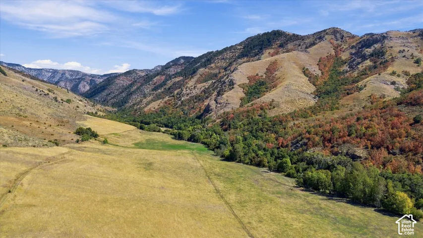 Expansive valley with open fields and distant mountains