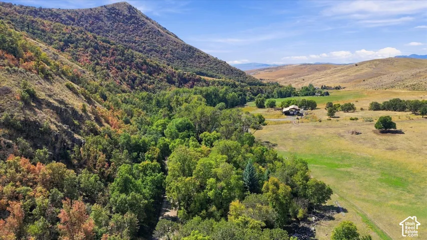 Expansive land featuring a prominent mountain backdrop, lush green trees, and large open fields