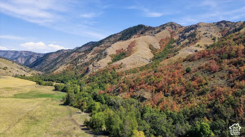 Expansive mountain range with diverse foliage, featuring a verdant valley floor