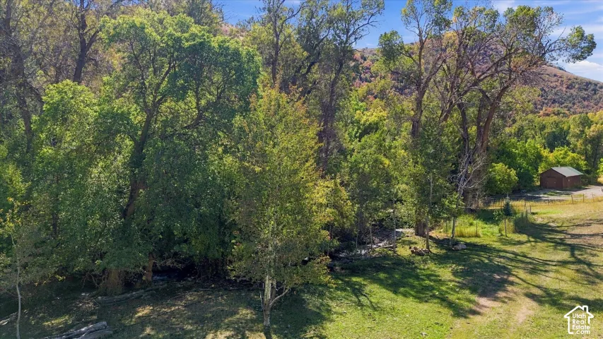 Wooded lot featuring a rustic cabin and natural hillside