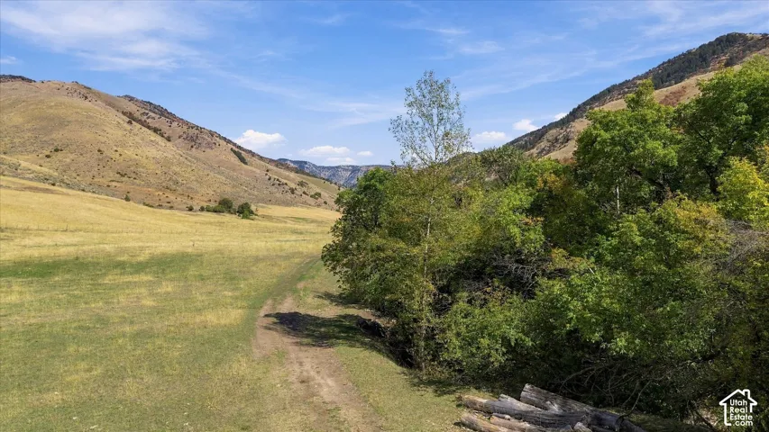 Expansive natural landscape featuring rolling hills and abundant foliage