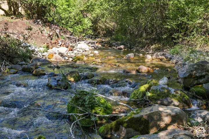 Natural water feature with a rocky bed, surrounded by lush foliage and mature trees