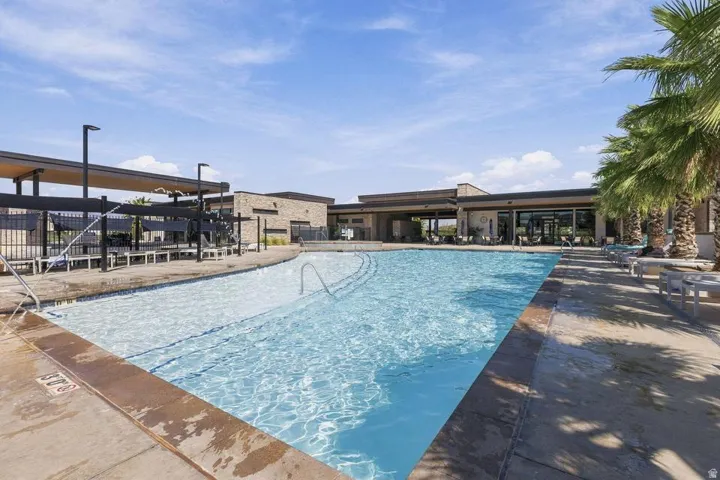 Expansive swimming pool with concrete decking, surrounding mature palm trees, and a covered patio structure