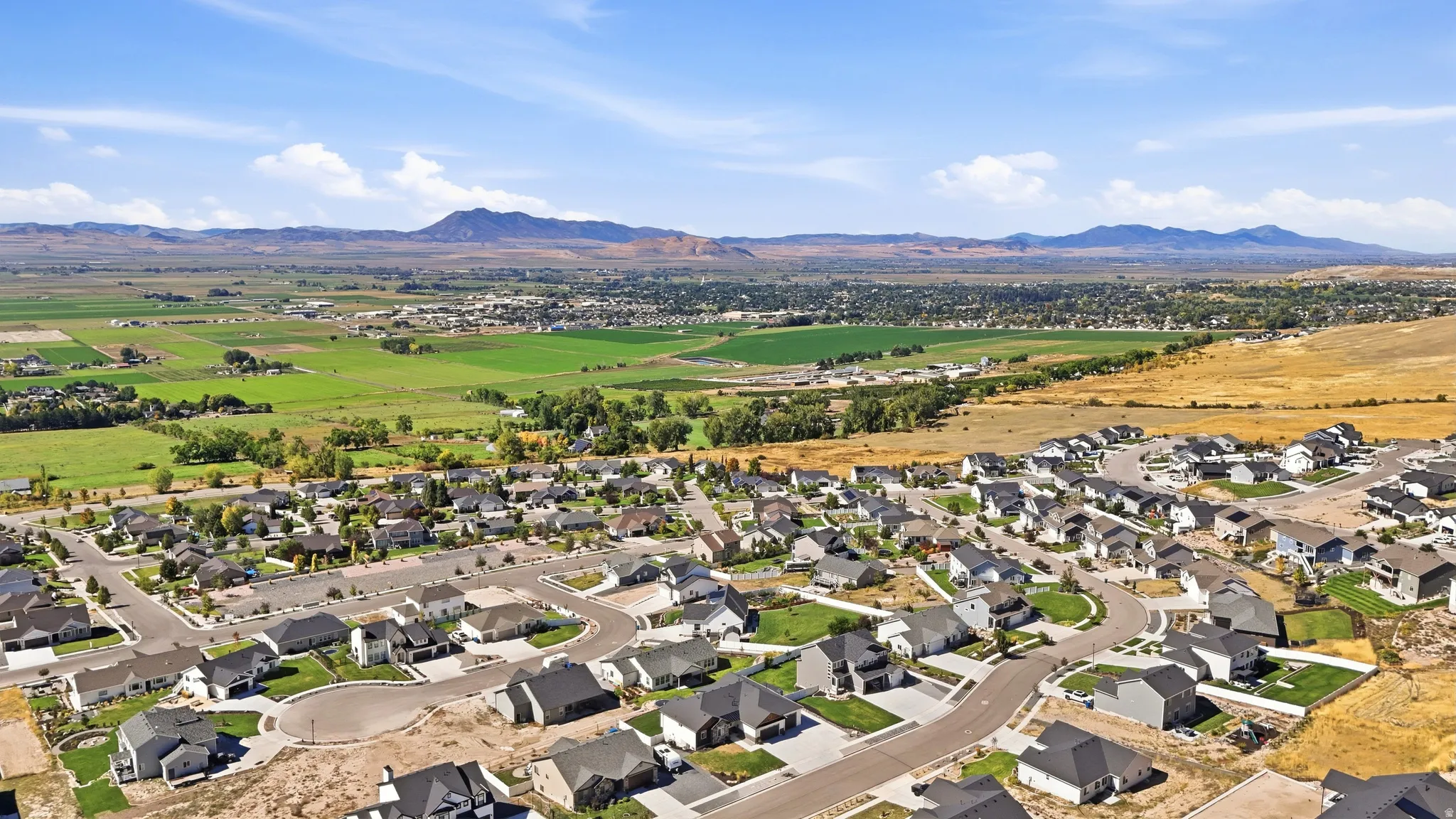 Residential development featuring numerous single-family homes with varied rooflines