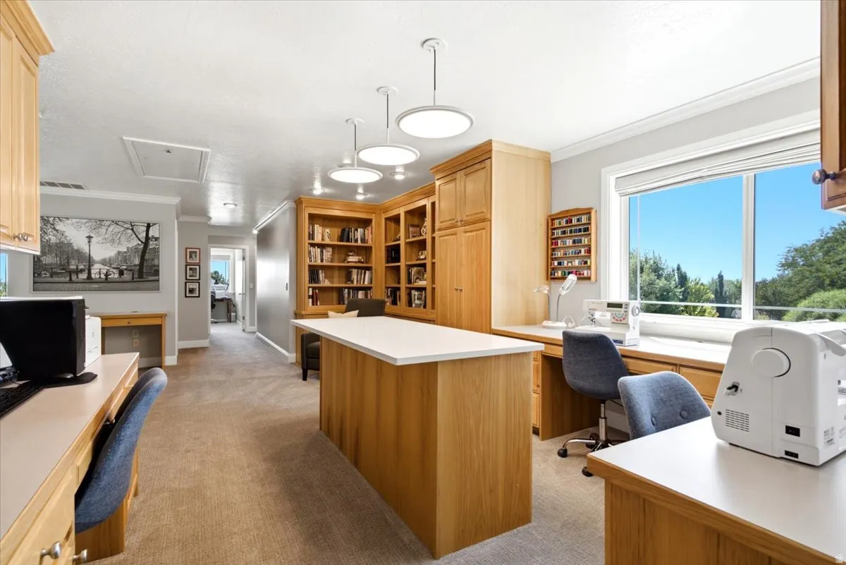 Built-in cabinetry, custom shelving, multiple task lighting fixtures, and a large window