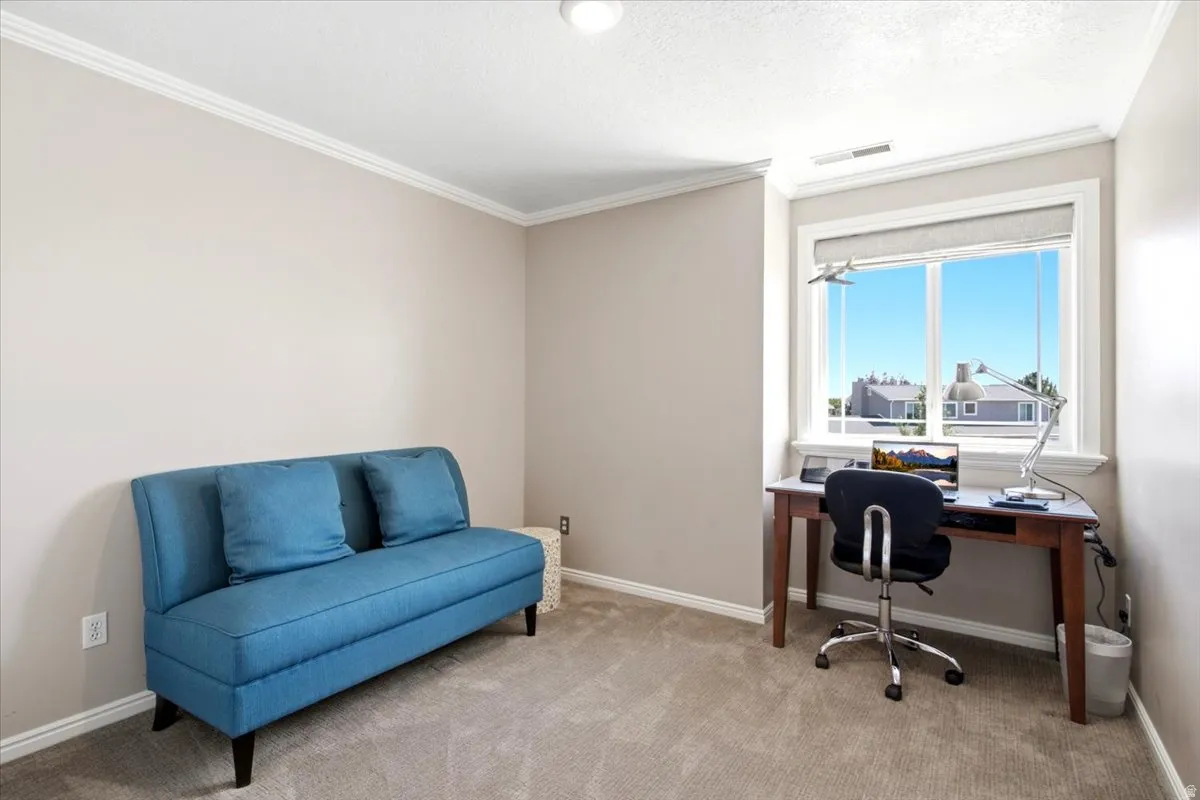 Plush carpet flooring, neutral wall tones, crown molding, and a double window with a wide sill
