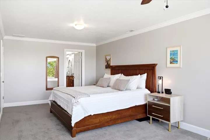 Wall-to-wall carpeting and crown molding