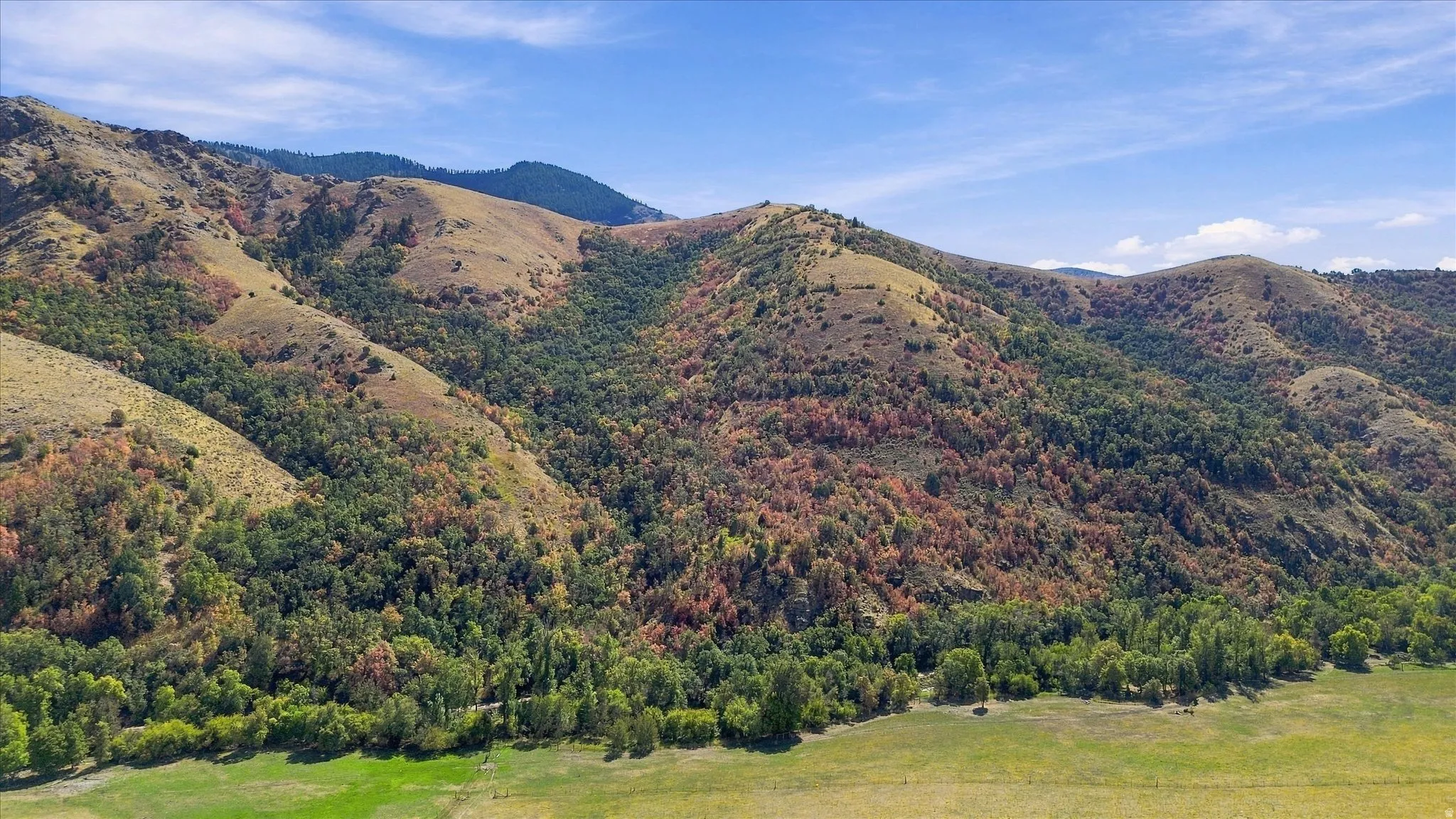 Expansive mountainous terrain featuring varied tree coverage and a broad, open field