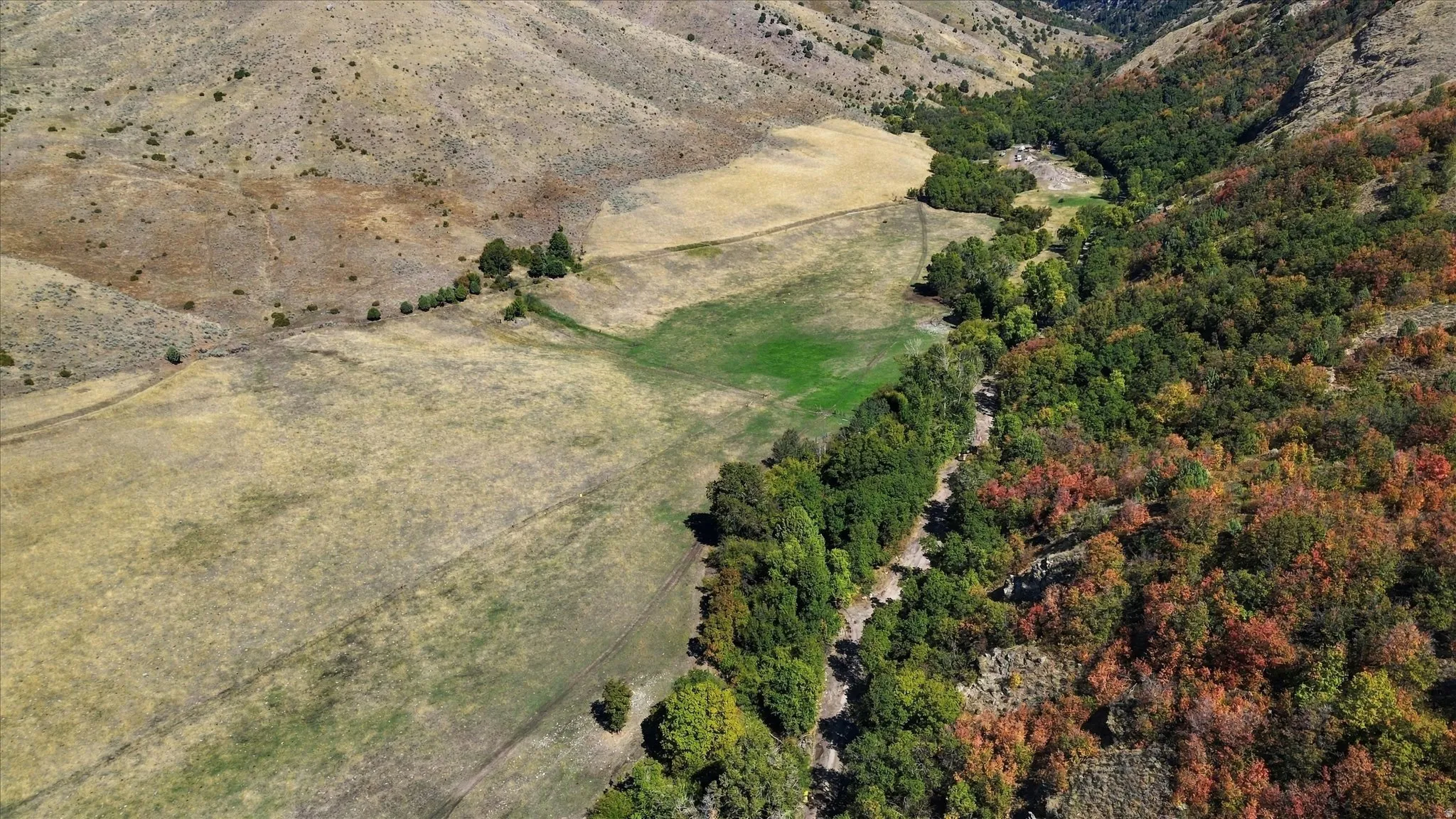 Expansive acreage featuring natural terrain and varied foliage, including areas of green and autumnal trees