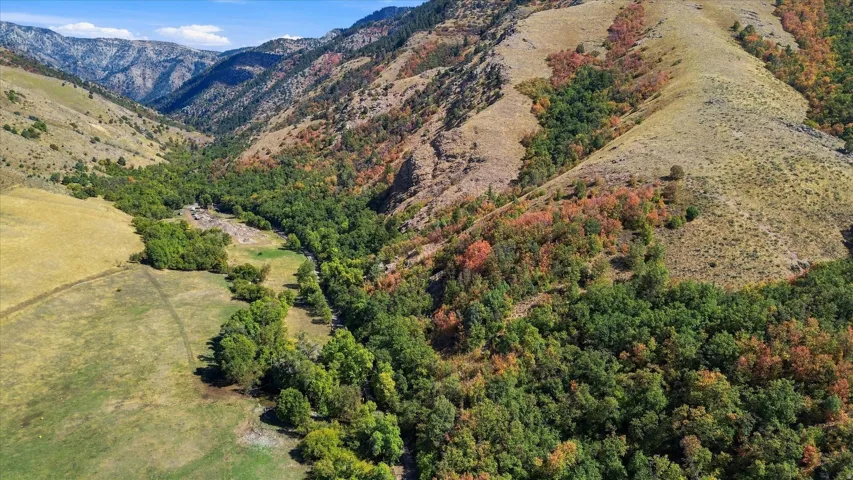 Mountainous terrain featuring diverse foliage, including green and autumn-colored trees