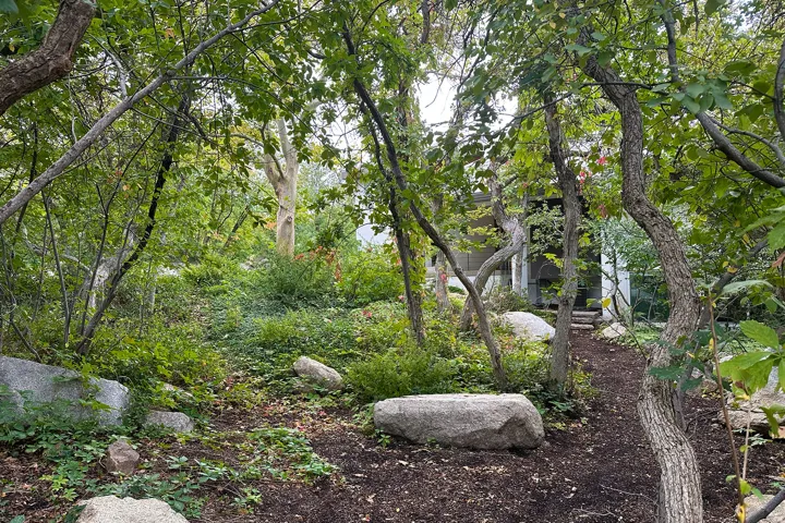 Wooded landscape with a winding pathway, large natural rock formations, and mature trees