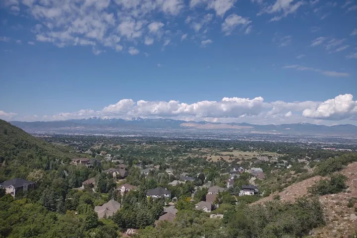Expansive landscape with a distant city and snow-capped mountain range, surrounded by lush, mature trees