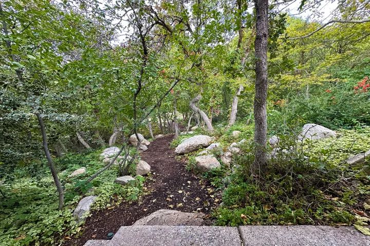 Wooded natural landscaping featuring a winding dirt path, mature trees, lush ground cover, and exposed boulders
