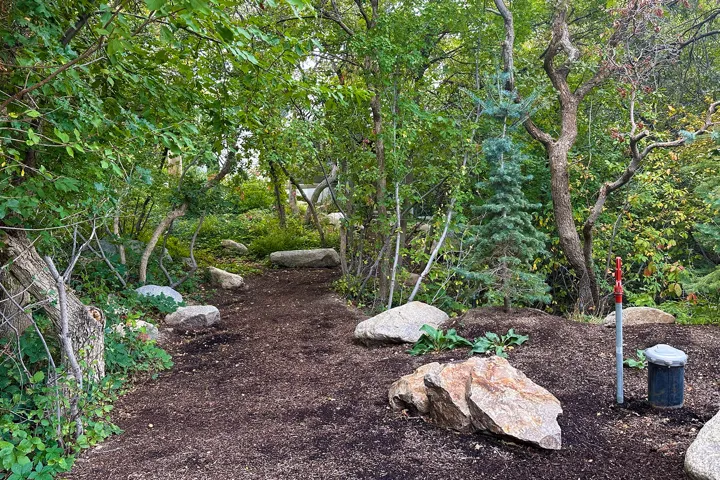 Wooded landscape featuring a winding natural path, mature trees, assorted boulders, and varied foliage