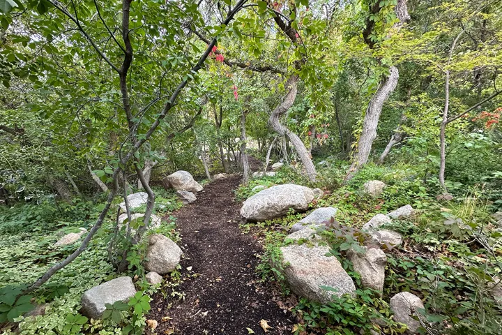 Wooded grounds featuring a winding path, mature trees, natural rock formations, and abundant ground cover
