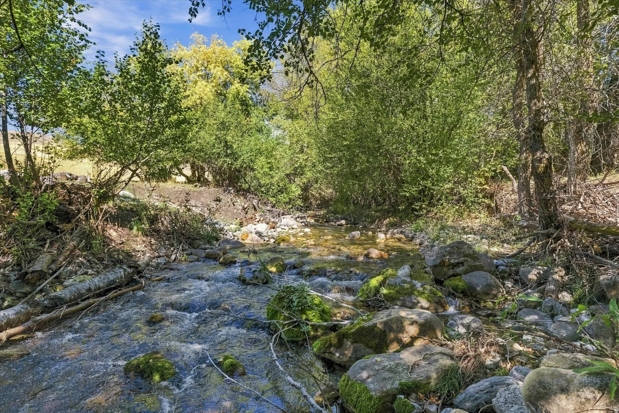 Natural stream with clear water and moss-covered rocks