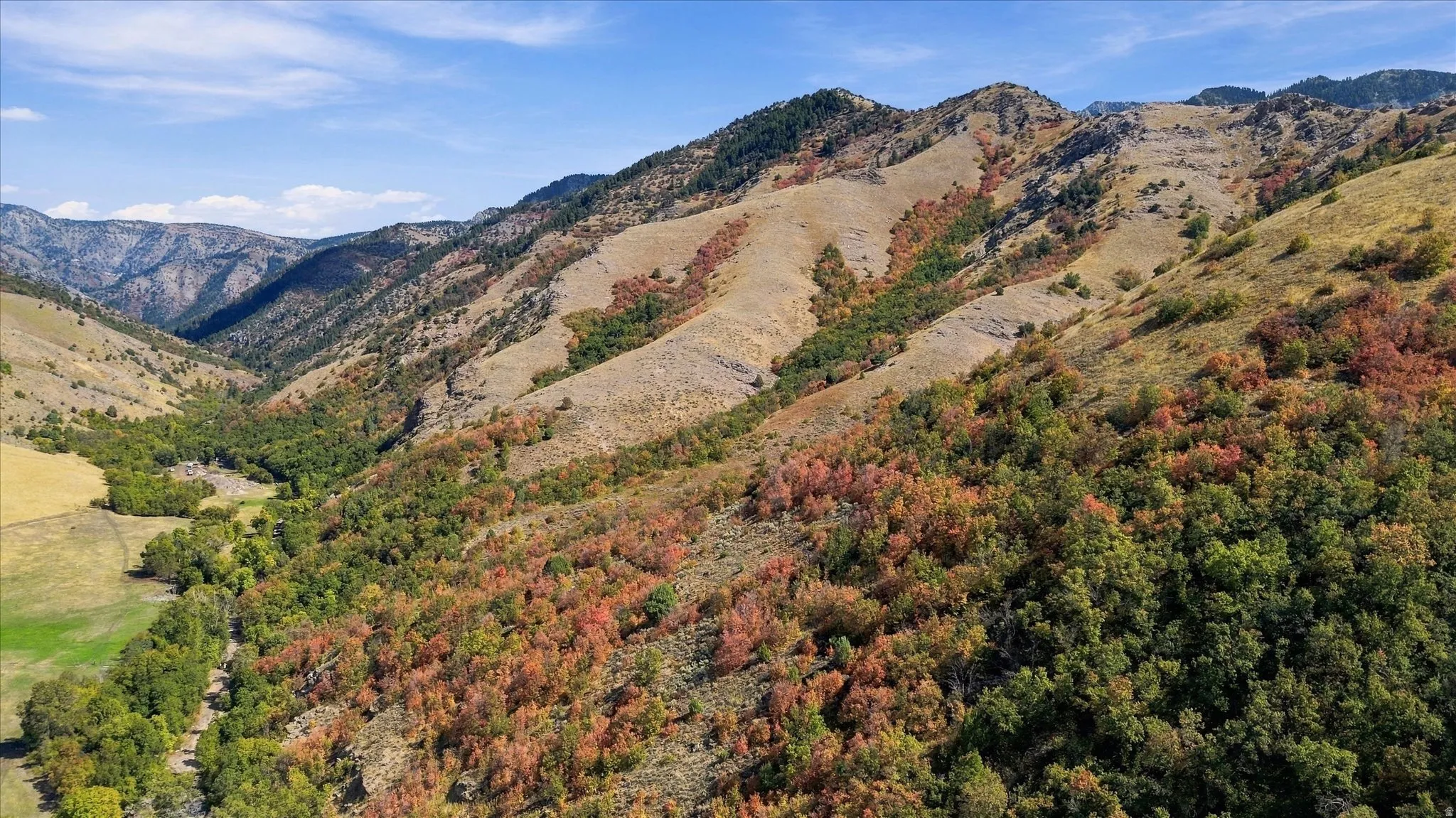 Natural mountain landscape featuring diverse vegetation, autumn foliage, and expansive open terrain