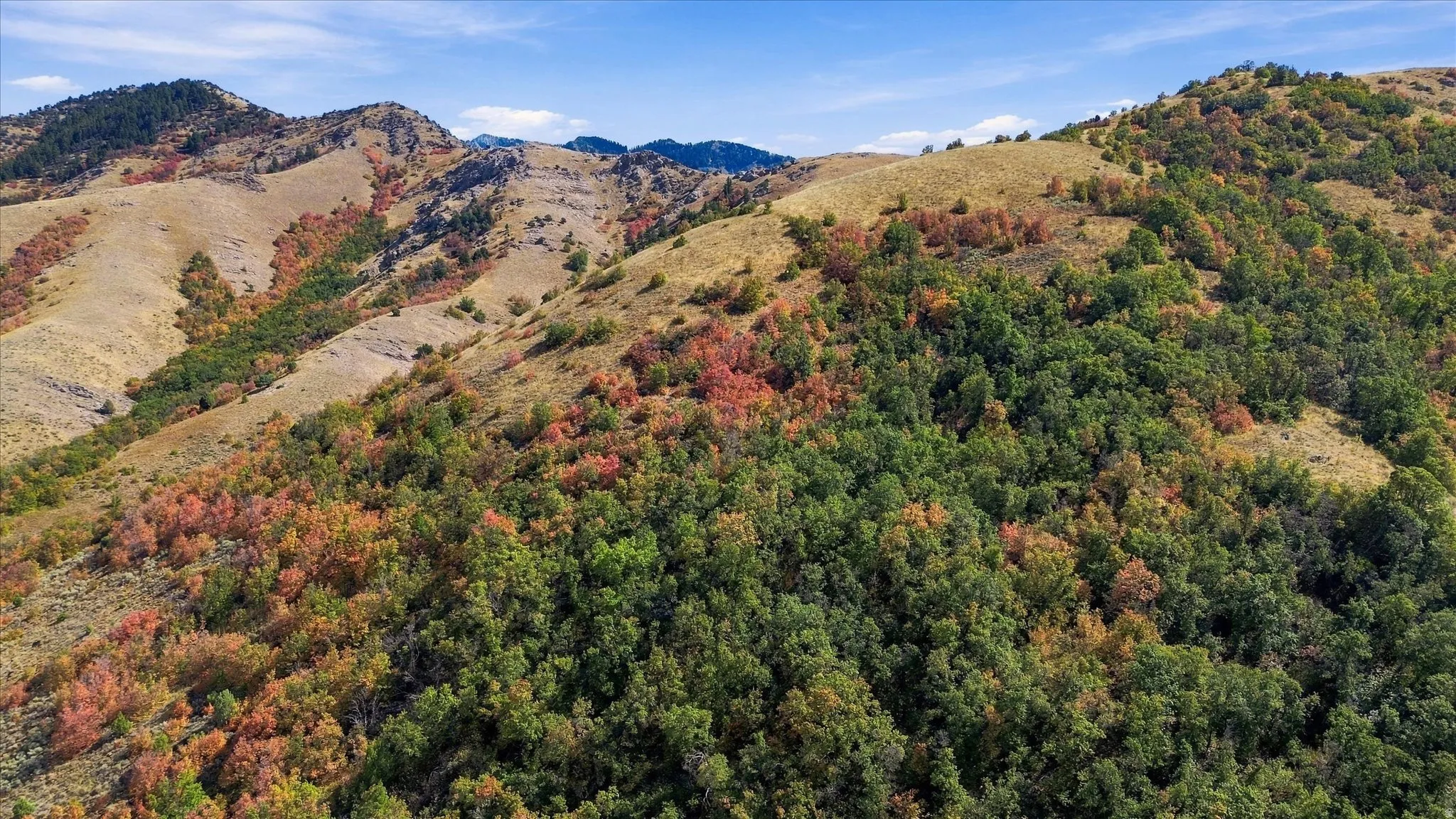 Expansive mountainside terrain featuring varied natural foliage and open, undeveloped land