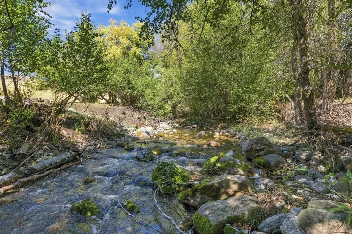 Natural stream with clear water and moss-covered rocks