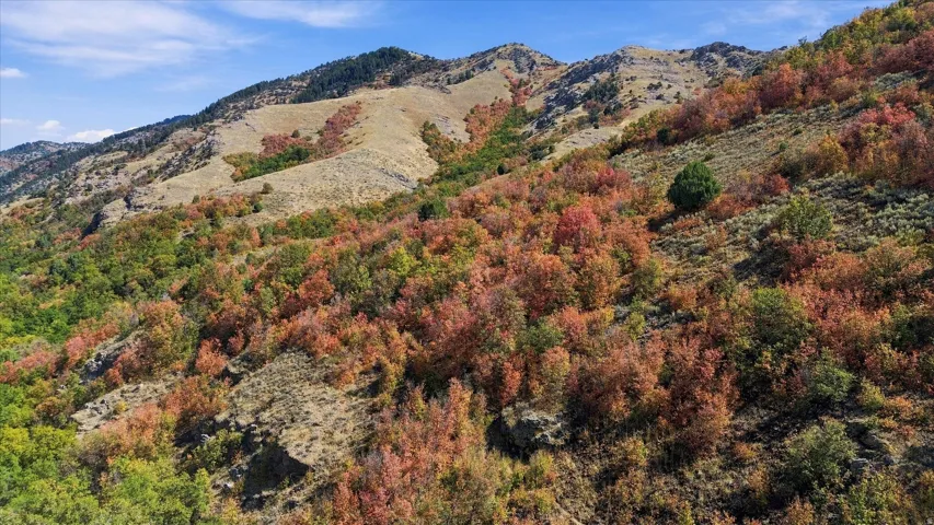 Mountainous terrain with varied foliage, including vibrant red and orange deciduous trees, green evergreens, and dry grasses