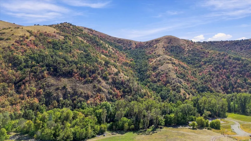 Expansive mountainous terrain with varied tree coverage, natural land contours, and a distinct treeline