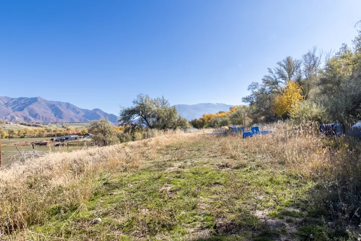 Expansive natural landscape with varied terrain and mature trees
