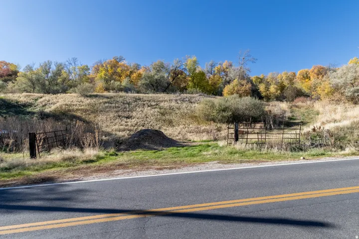 Paved road frontage with double yellow lines, leading to a sloped, vegetated hillside featuring mature deciduous trees