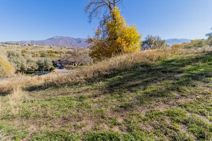 Expansive sloped terrain featuring natural grasses and distant mountain formations