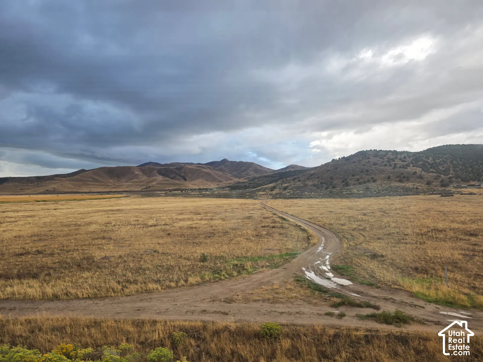 Expansive rural landscape featuring a dirt road and distant mountains