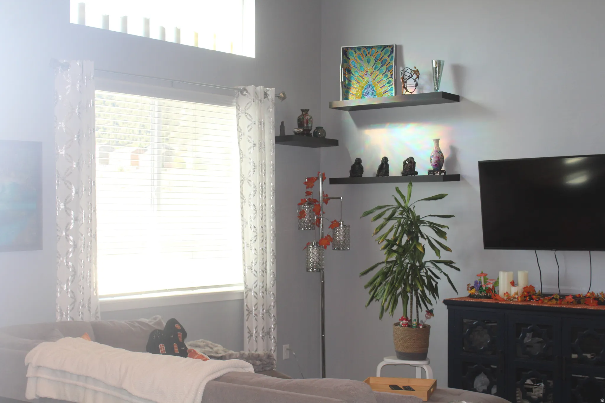 Wall-mounted shelving, built-in wall cabinetry, and high wall windows