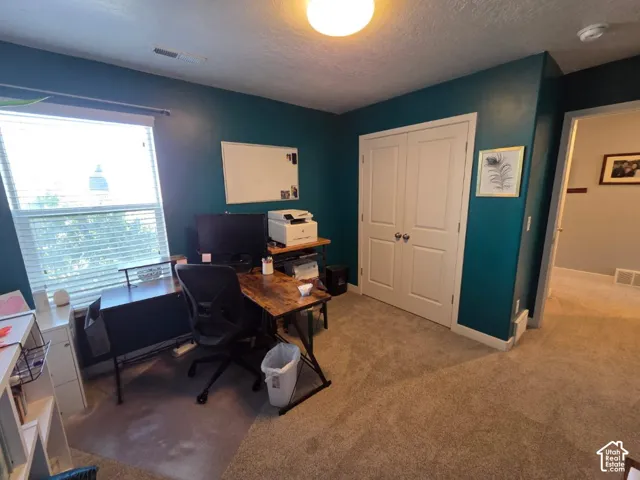 Carpeted room featuring a double-door closet, a window with blinds, and painted walls